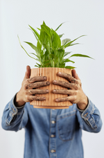 TALLER: PLANTAS DE INTERIOR por Omar Ischy